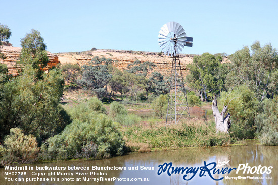 Windmill in backwaters between Blanchetown and Swan Reach