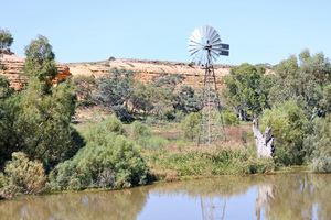 Windmill in backwaters between Blanchetown and Swan Reach