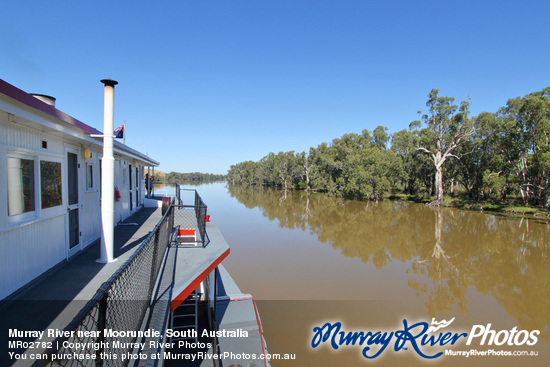 Murray River near Moorundie, South Australia