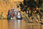 PS Marion cruising past majestic cliffs of Big Bend