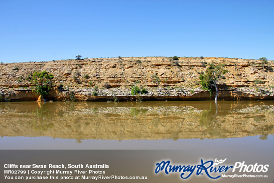 Cliffs near Swan Reach, South Australia