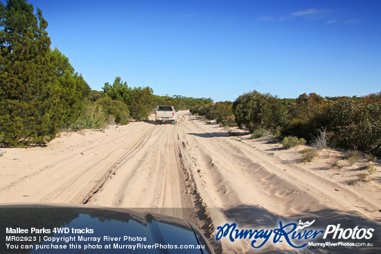Mallee Parks 4WD tracks