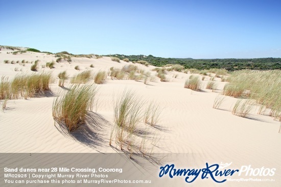 Sand dunes near 28 Mile Crossing, Coorong