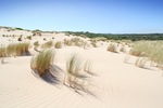 Sand dunes near 28 Mile Crossing, Coorong