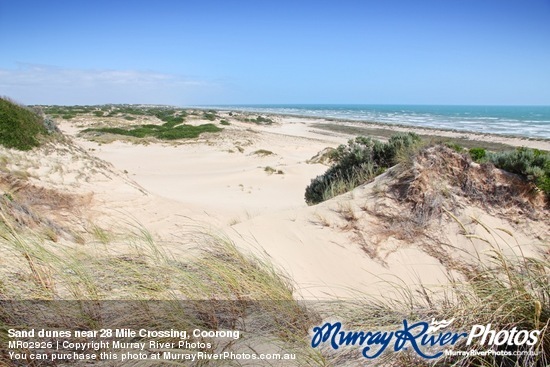 Sand dunes near 28 Mile Crossing, Coorong