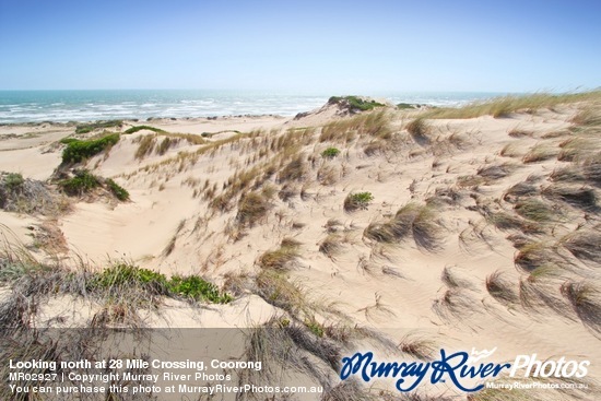 Looking north at 28 Mile Crossing, Coorong