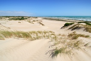 Looking south near 28 Mile Crossing, Coorong