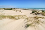 Looking south near 28 Mile Crossing, Coorong