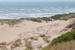 Sand dunes and Southern Ocean at 28 Mile Crossing, Coorong