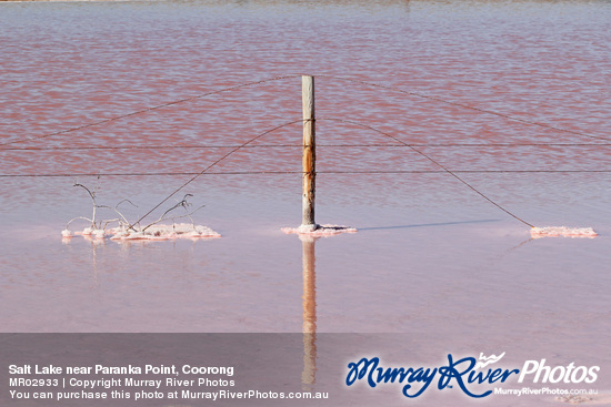 Salt Lake near Paranka Point, Coorong