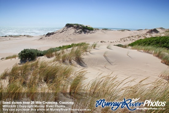 Sand dunes near 28 Mile Crossing, Coorong