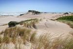 Sand dunes near 28 Mile Crossing, Coorong