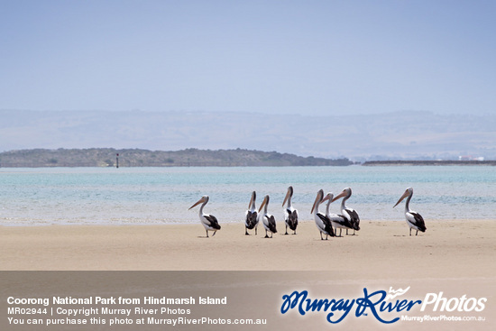 Coorong National Park from Hindmarsh Island