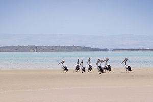 Coorong National Park from Hindmarsh Island