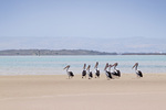 Coorong National Park from Hindmarsh Island