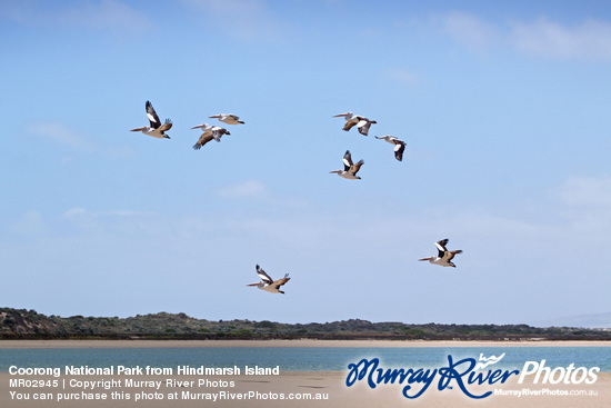 Coorong National Park from Hindmarsh Island