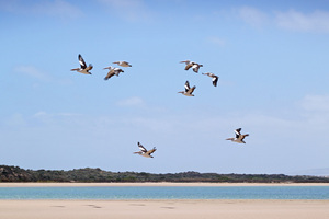 Coorong National Park from Hindmarsh Island