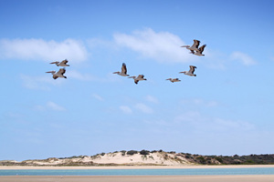 Coorong National Park from Hindmarsh Island