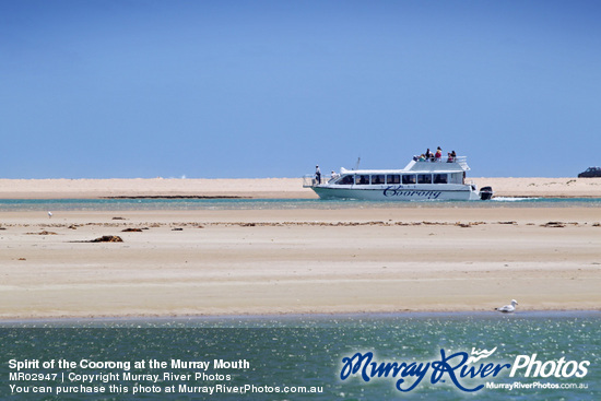 Spirit of the Coorong at the Murray Mouth