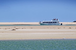 Spirit of the Coorong at the Murray Mouth