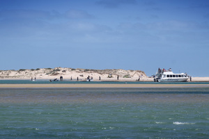 Spirit of the Coorong at the Murray Mouth