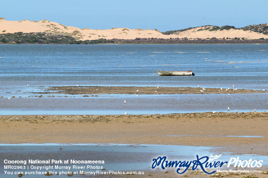 Coorong National Park at Noonameena