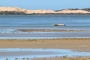 Coorong National Park at Noonameena