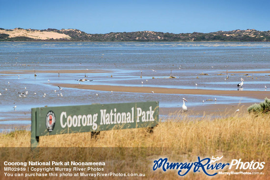 Coorong National Park at Noonameena