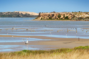 Coorong National Park at Noonameena