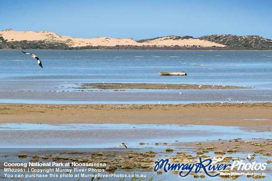 Coorong National Park at Noonameena