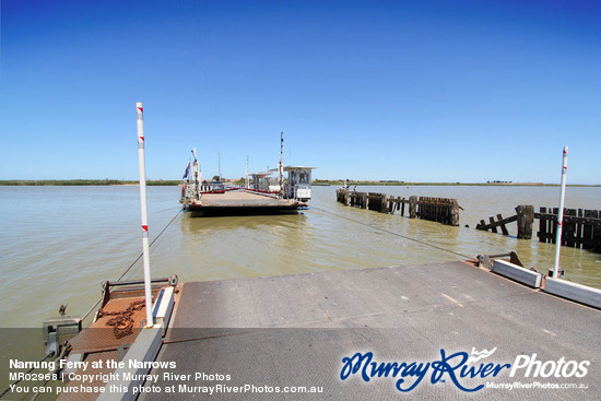 Narrung Ferry at the Narrows