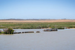 Narrung Ferry at the Narrows