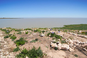 View across Lake Alexandrina from Point Malcolm, Narrung