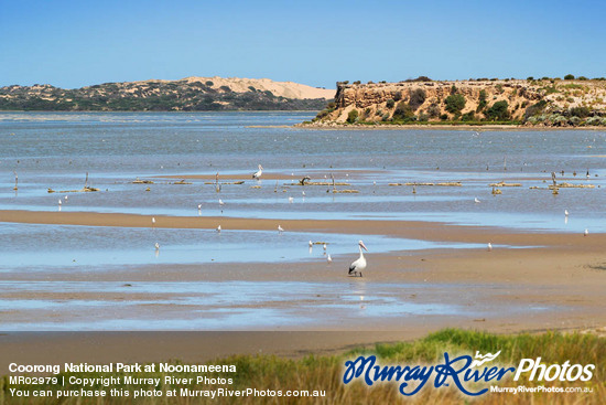 Coorong National Park at Noonameena