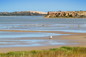 Coorong National Park at Noonameena