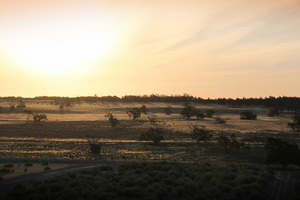View across Wyperfeld National Park from Pine Plains Lodge