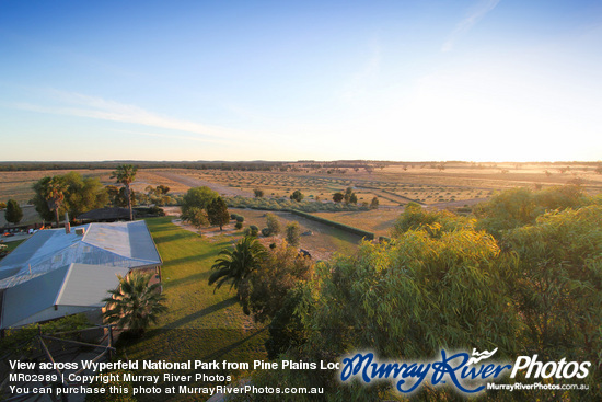 View across Wyperfeld National Park from Pine Plains Lodge