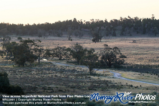 View across Wyperfeld National Park from Pine Plains Lodge