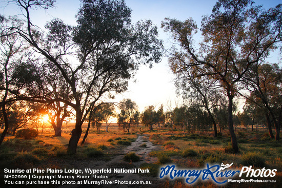 Sunrise at Pine Plains Lodge, Wyperfeld National Park