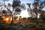 Sunrise at Pine Plains Lodge, Wyperfeld National Park