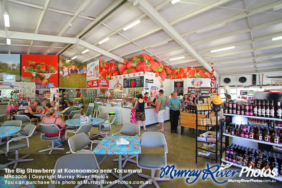 The Big Strawberry at Koonoomoo near Tocumwal