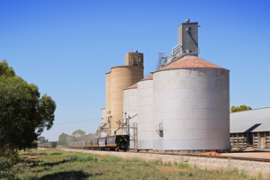 Wheat silos being filled at Piangil, Victoria