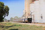 Wheat silos being filled at Piangil, Victoria