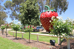 The Big Strawberry at Koonoomoo near Tocumwal