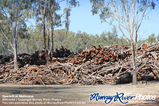 Sawmill at Mathoura