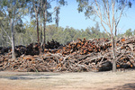 Sawmill at Mathoura