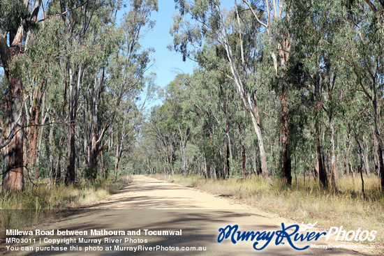 Millewa Road between Mathoura and Tocumwal