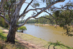 Riverside camping at Tocumwal