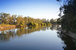 Murray River on sunrise at Tocumwal