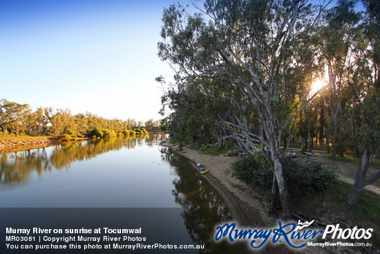 Murray River on sunrise at Tocumwal